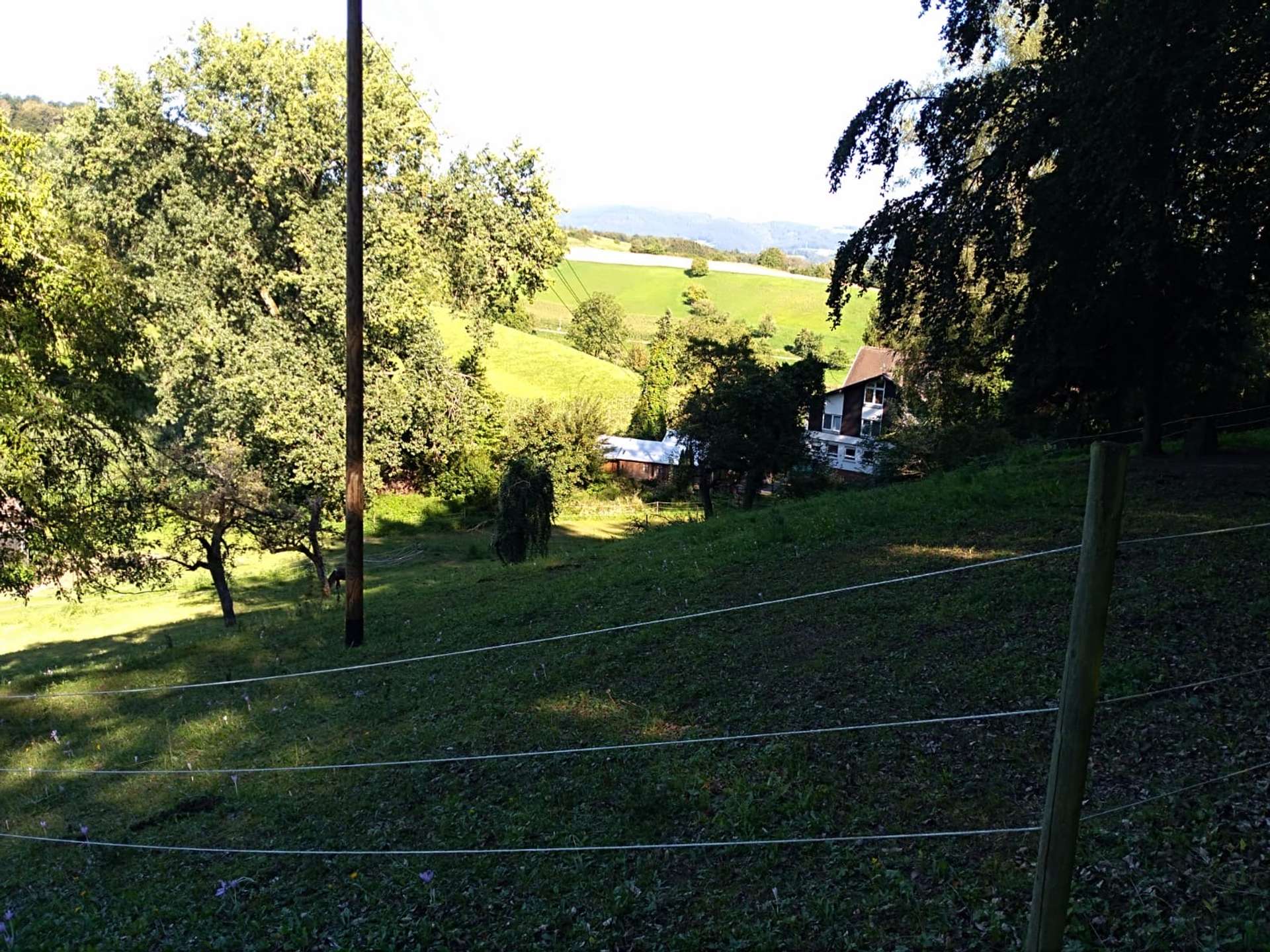 Grundstück
